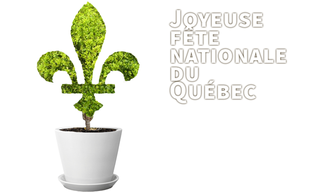 Quebec Saint Jean Baptiste Day celebration image with a white pot and green Fleurdelisé